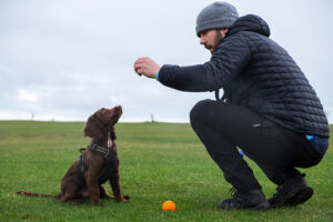 Man teaching his puppy to sit