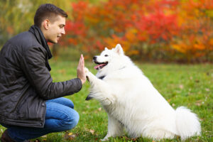 Dog giving a young man a high five