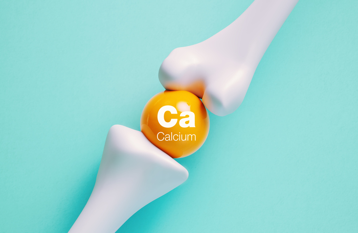 Calcium between two bones